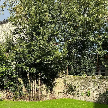 Les Volets Bleus House And Semesterbostad Jublains