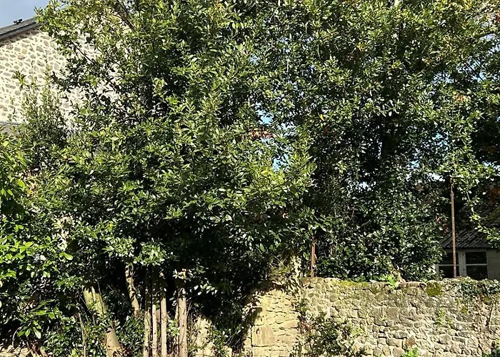 Les Volets Bleus House And Semesterbostad Jublains